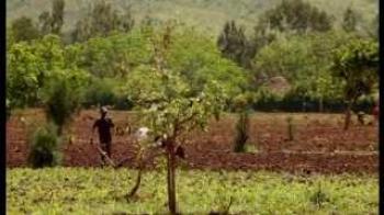 "Trees of Life": Video on Humbo Assisted Natural Regeneration Project in Ethiopia