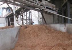 Bulgaria - Svilosa Biomass Project