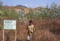 India: Improving Rural Livelihoods