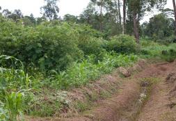 Agricultural Carbon Project 