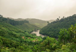 The Ankeniheny - Mantadia - Zahamena Biodiversity Conservation Project