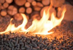 Biomass Heating and Energy Conservation Project